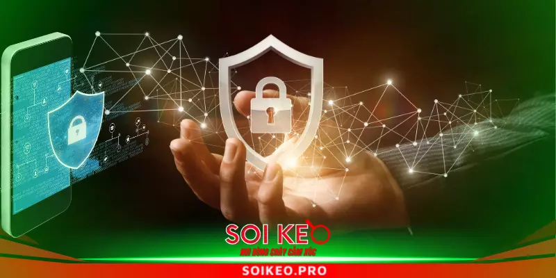 Giải pháp xử lý nguyên nhân bị sập website của nhà cái Soikeo