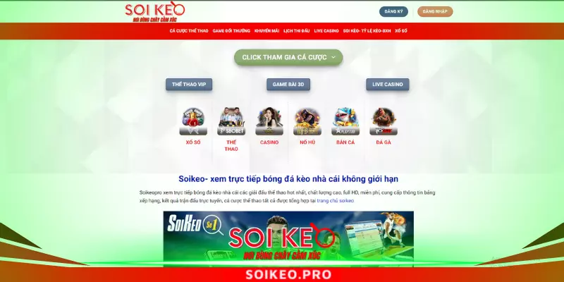 Xác định các nguyên nhân dẫn đến sập website Soikeo